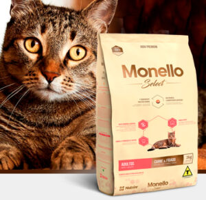 monello cat