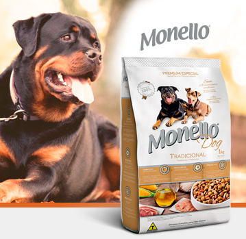 monello dog